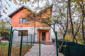 Tampa Holiday Vila Braşov